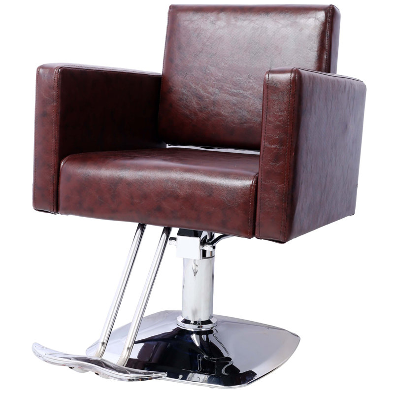 Beauty Shampoo Barbering Chair