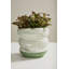 Eliana Pot 6"x 6"