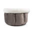 Tasse pour chien Tucker Murphy Pet ™-429694445-437913271