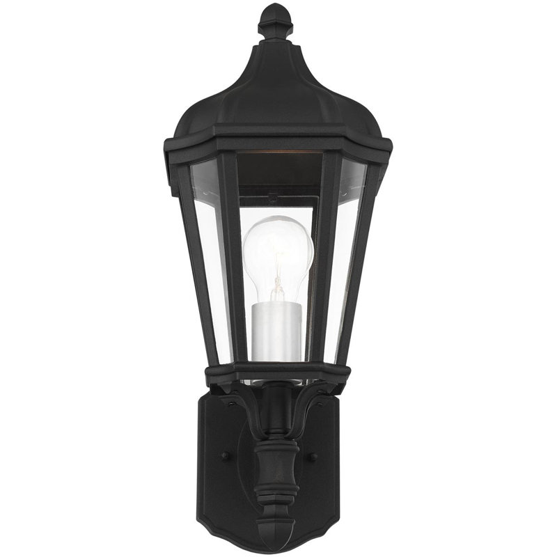7-Inch 1-Light TBK Outdoor Wall Lantern Clear Glass, Bronze/Nickel