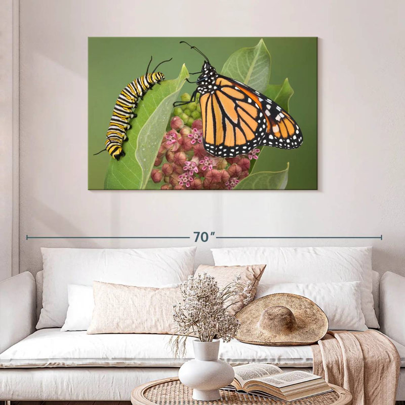 Milkweed Monarch And Caterpillar, 30" H x 45" W
