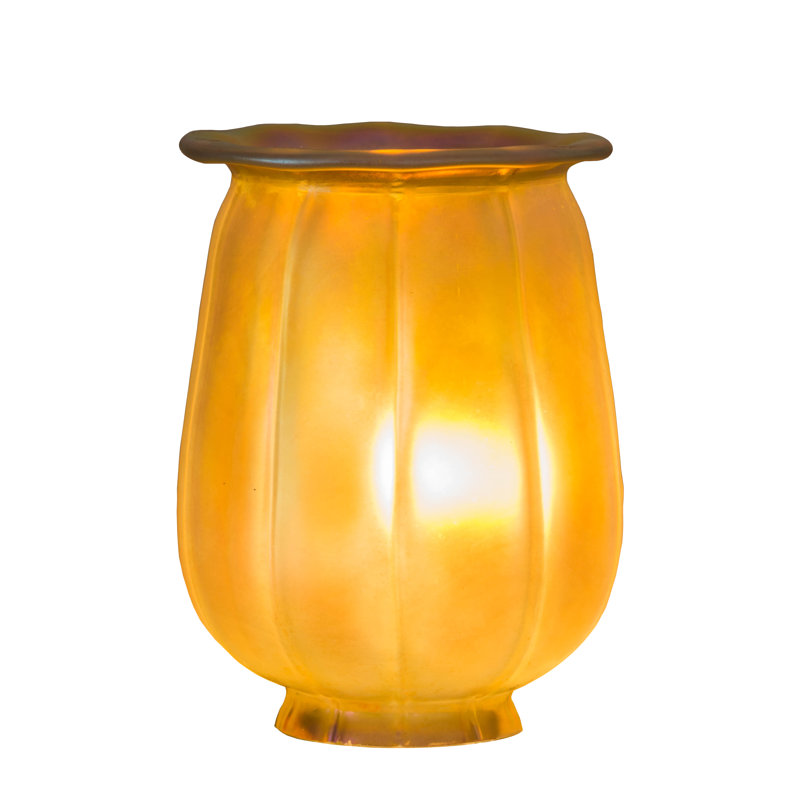 Novelty Lamp Shade
