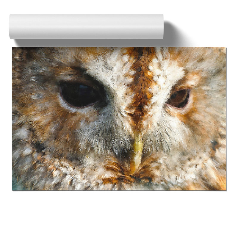 Tawny Owl Painting - Frameless Print, 30cm H x 42cm W x 0.1cm D
