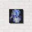 "Ooh Iris" par Pamela Plummer-840660746