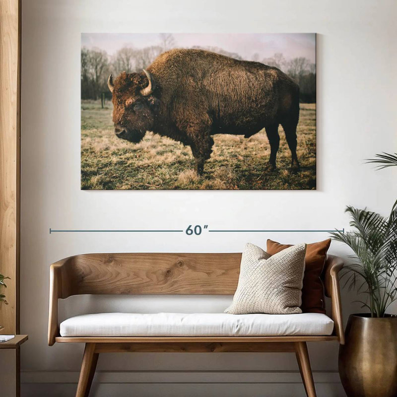Solitary Bison IV, 32" H x 48" W