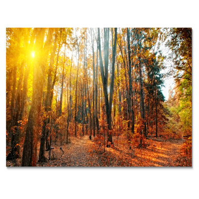 «Sunset Autumn Forest Panorama», reproduction sur toile