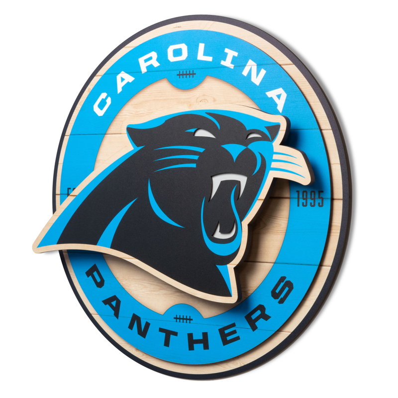 NFL Carolina Panthers 3DX Circle Wall Art