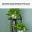 Plant Stand