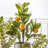60cm Faux Lemon Tree in Pot