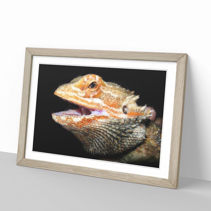 Bearded Dragon Lizard - Picture Frame Photograph, 27cm H x 36cm W x 2cm D, Oak Framed