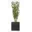 Vrej Handmade Pot Planter-14486218-26335891