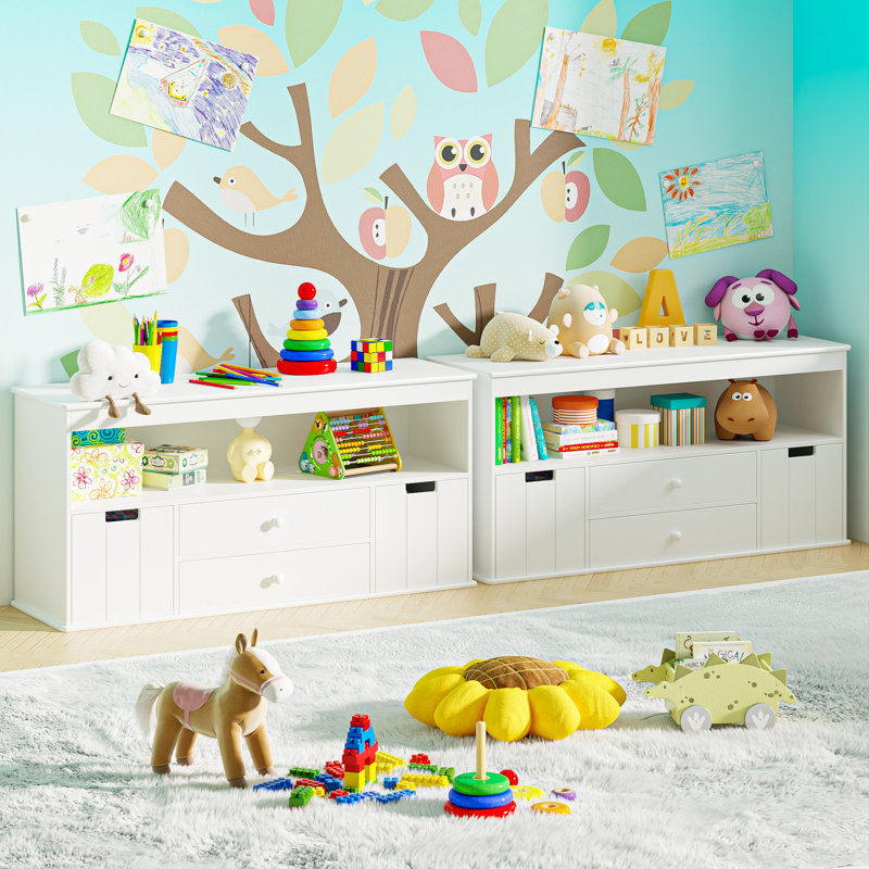Anjulie Kids Bookcase Toy Storage Organizer With 2 Drawers And 2 Bins, 24.2" H x 51.9" W x 12.9" D
