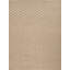 Geometric Area Rug in Brown