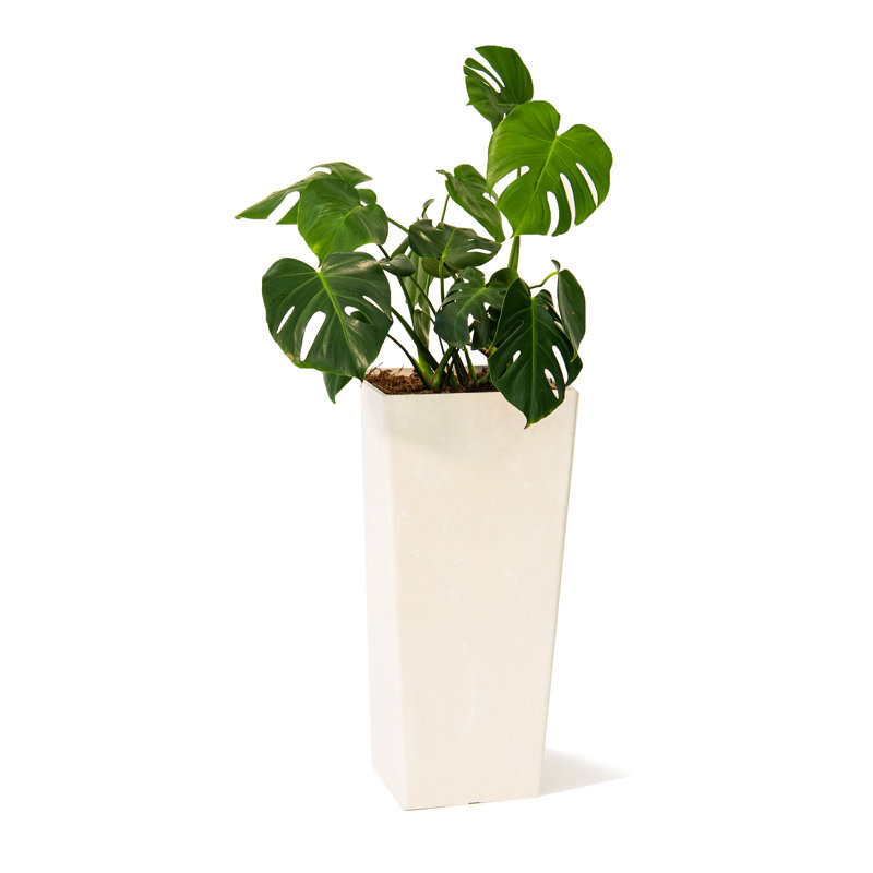 Pot à fleurs Hedi, Blanc