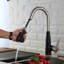 Orren Ellis Pickerington Pull Down Kitchen Faucet-1156754577