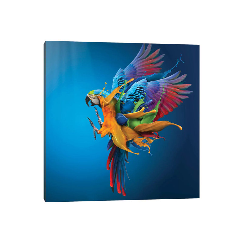 Flying Colours by Sulaiman Almawash - Gallery-Wrapped Canvas Giclée on Canvas, No Frame, 30.48 cm H x 30.48 cm W