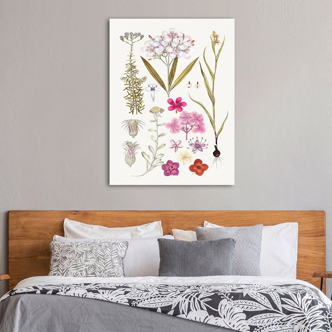 Leinwandbild Hand Drawn Pink Flowers von Anonymous