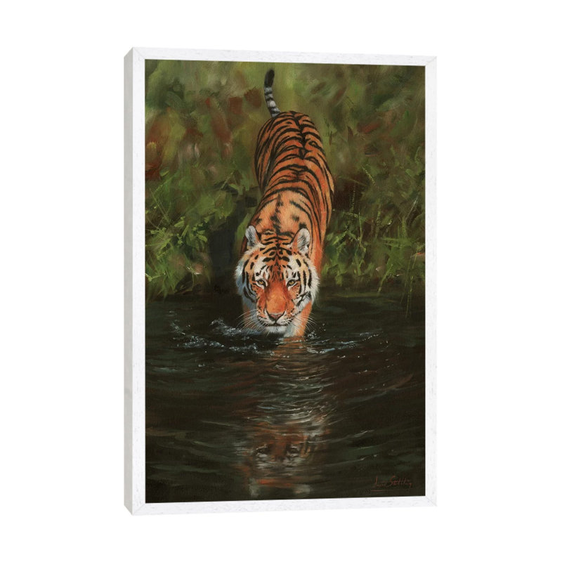 Tiger Cooling Off by David Stribbling - Gallery-Wrapped Canvas Giclée on Canvas, White Framed, 66.04 cm H x 45.72 cm W