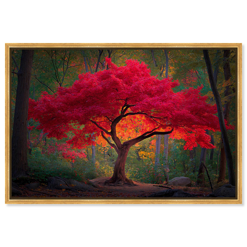 "Autumn Ablaze II", reproduction d'art sur toile par Art Remedy, cadre doré, 24 x 16, H 17 po x l 25 po, Encadrement doré