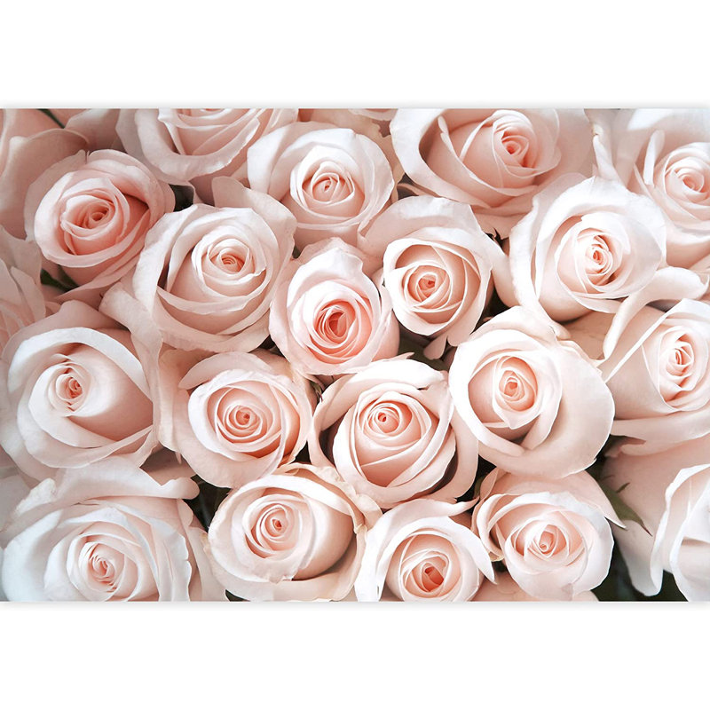 Élégante fleur rose M20, L 66 po x l 96 po