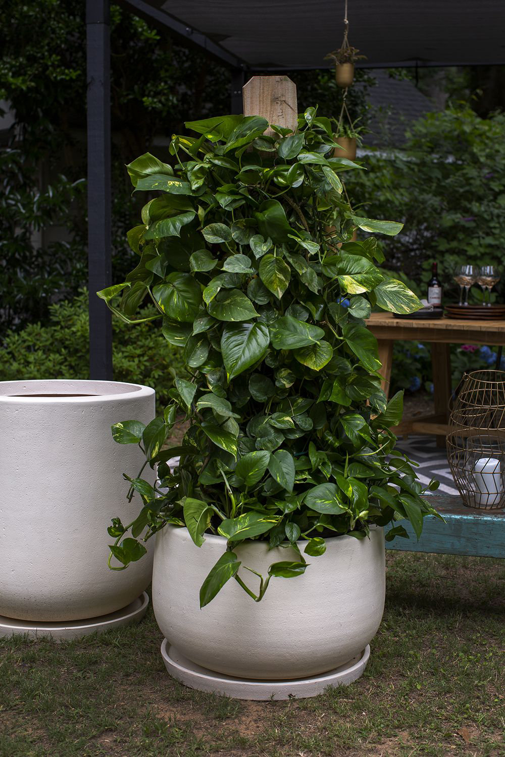Cailie Pot Planter, 17" H x 24.5" W x 24.5" D
