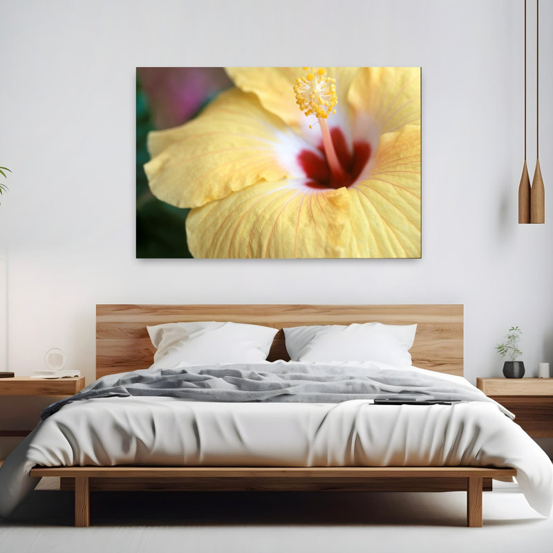 Hibiscus délicat, élégant, fleur d'hibiscus tranquille, art naturel, H 40 po x l 60 po