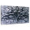 Gray Tree