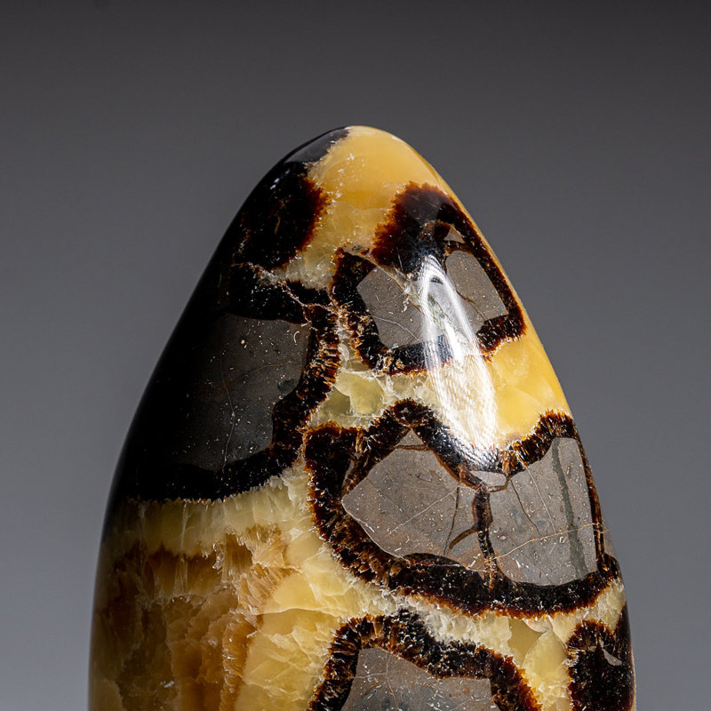 Polished Septarian Freeform from Madagascar (2.7 Lbs)