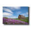  «Palouse Barn and Flowers 2» par David Drost, art mural sur toile, 60 po x 40 po-899076306