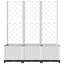 Latitude Run® Garden Planter With Trellis 47.2"X15.7"X53.5" PP-67962181-92087389