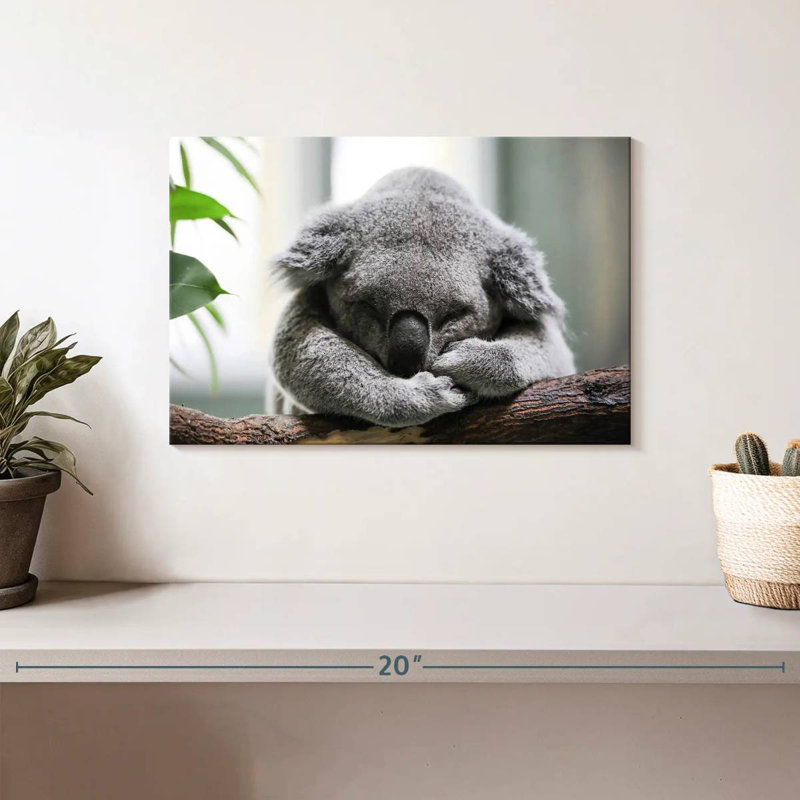 Napping Koala, 8" H x 12" W