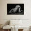 Bodyscape VI-108115619
