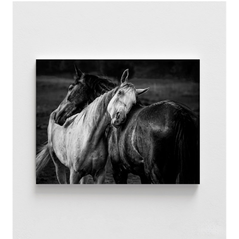 Warm Rain By Niko Chapa, Print Only, No, 8" H x 10" W