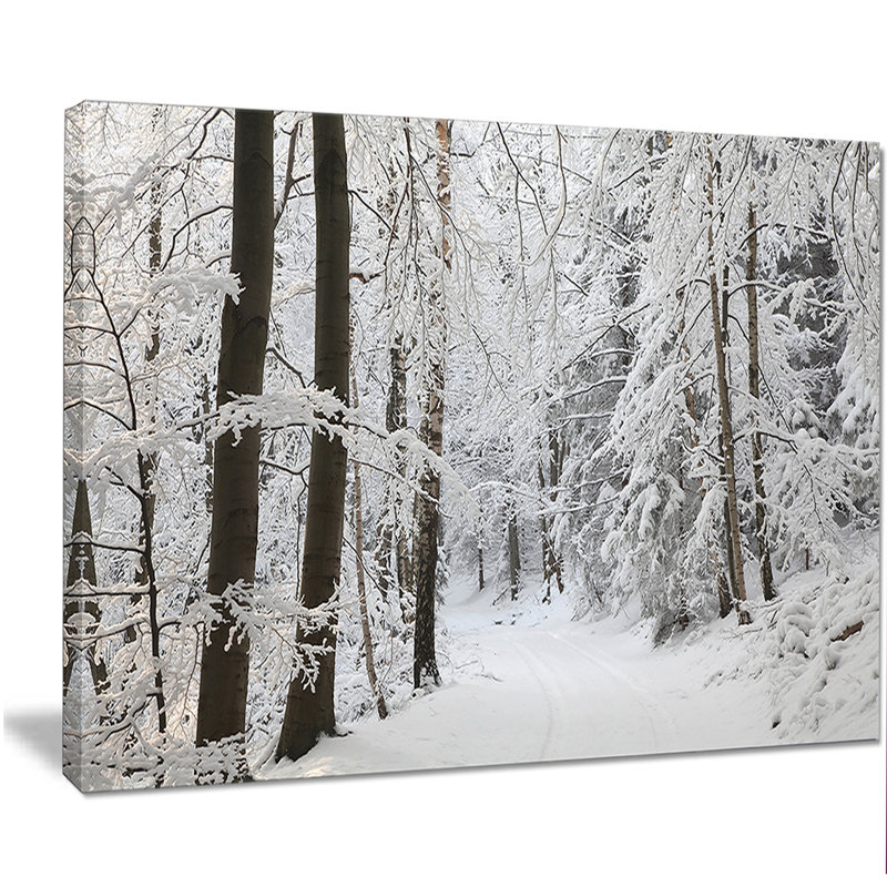 Dense Winter Forest Landscape Canvas Print in White