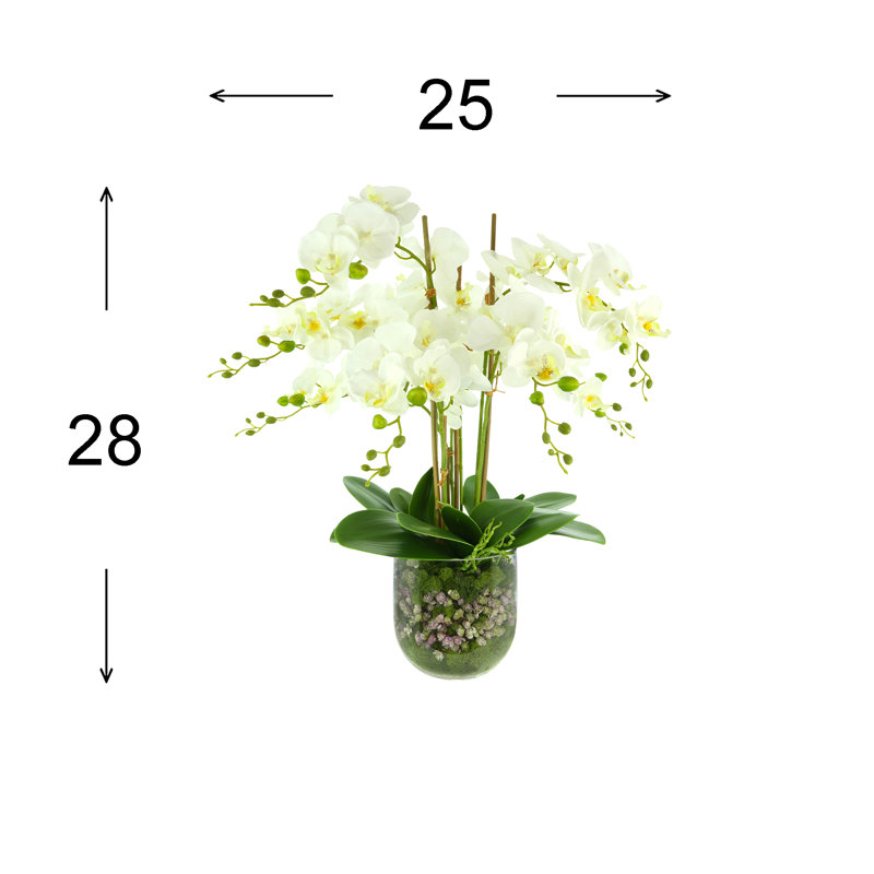 Phalaenopsis Floral Arrangement