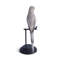Budgerigar Figurine