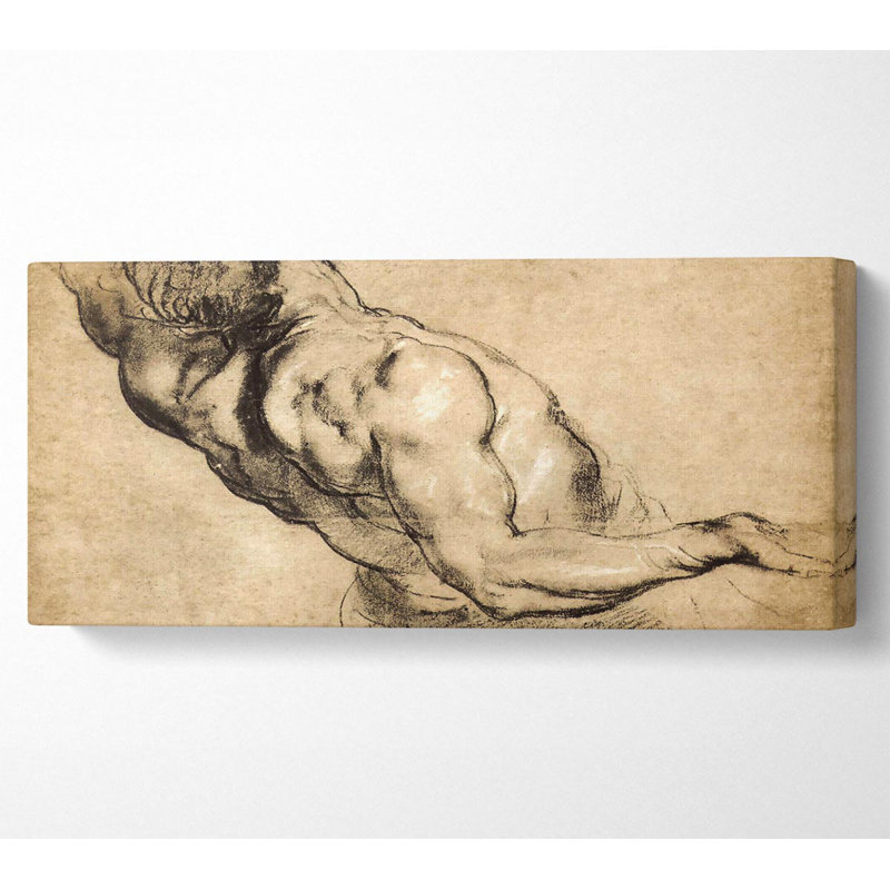 Rubens Study Of Mans Torso - Wrapped Canvas Print, 50.8cm H x 121.9cm W x 10cm D