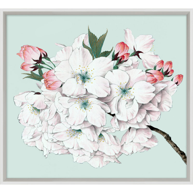 Powder Blue Blossom 5 Print