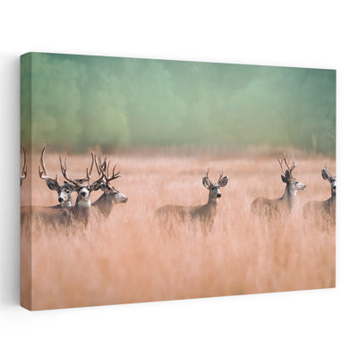 Cerf dans les hautes herbes, impression d'art mural de forêt rustique serein et serein