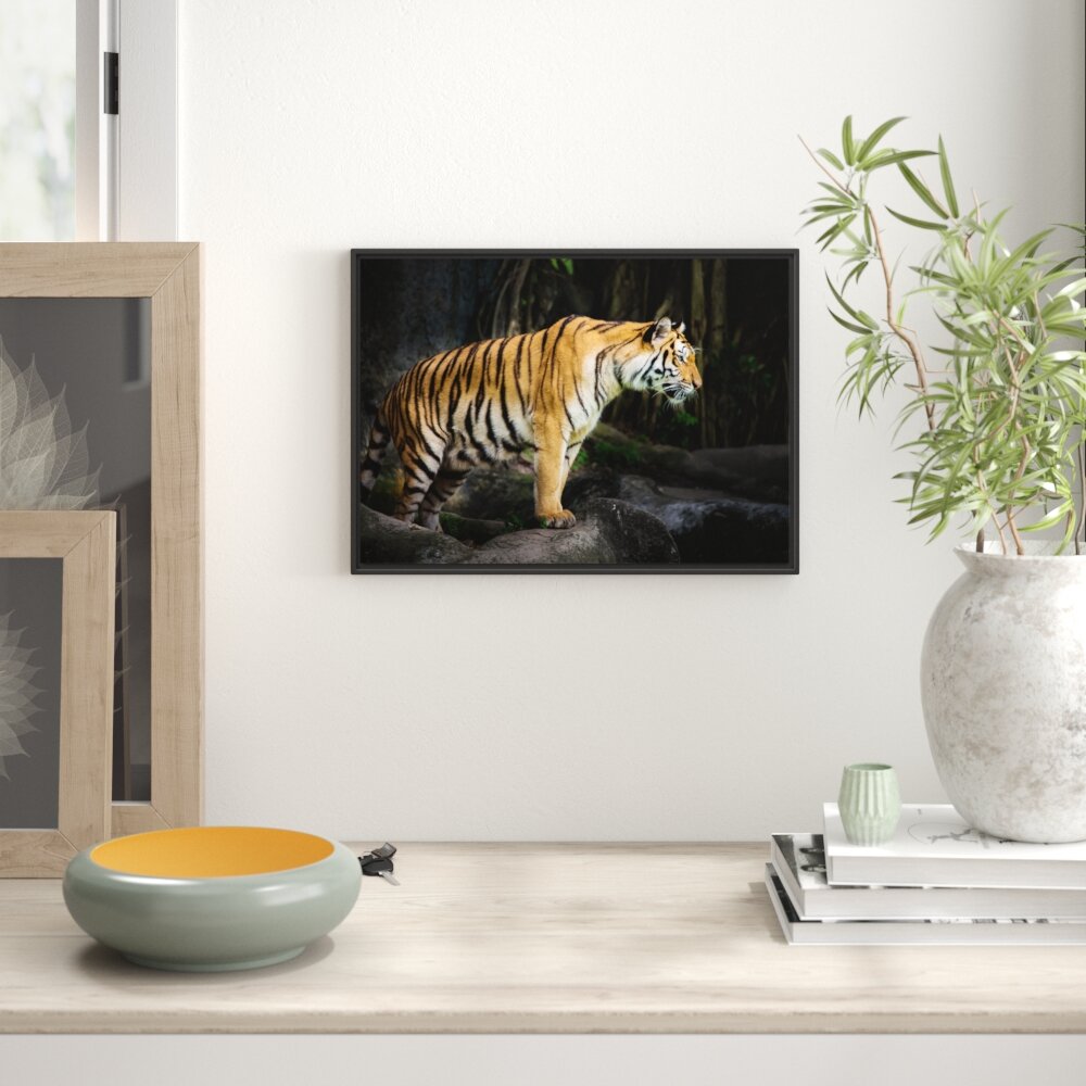 Gerahmtes Wandbild Tiger