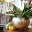 Addie Decorative Bowl