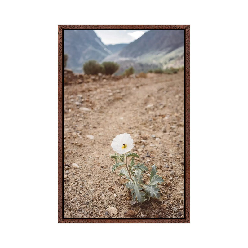 Yosemite Bloom by Bethany Young - Print on Canvas, Classic Brown Wood Framed, 66.04cm H x 45.72cm W x 3.81cm D