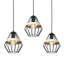 Bromide 3 - Light Black Pendant