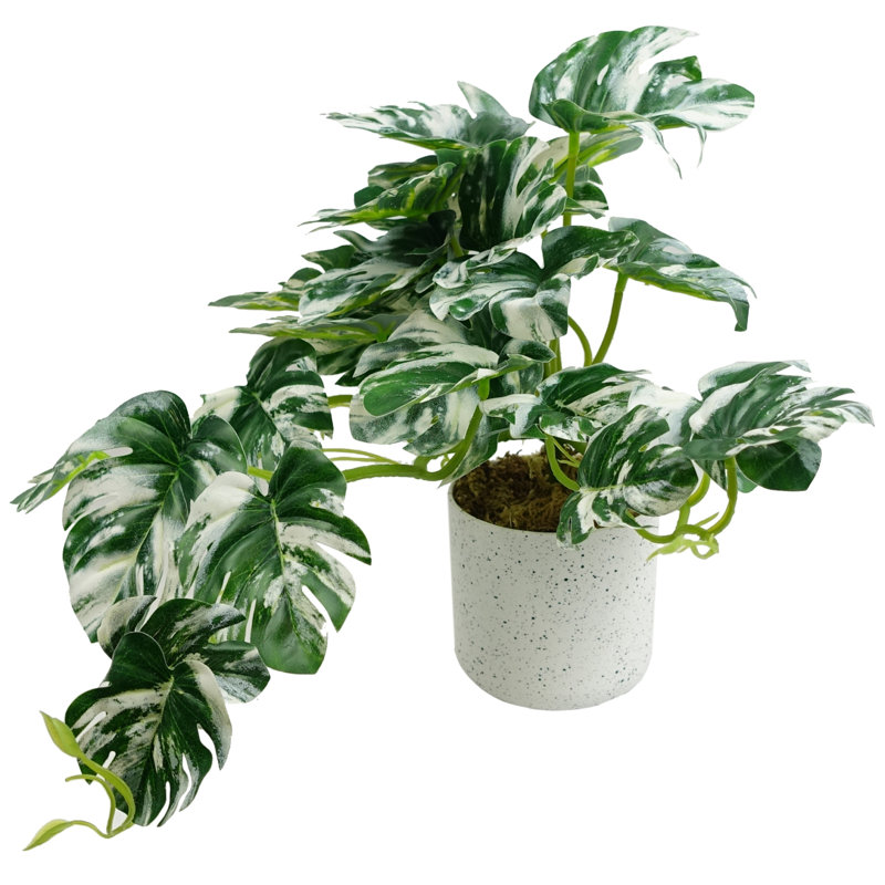 Anjeli 30cm Faux Foliage Plant in Pot