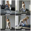 Kettlebell