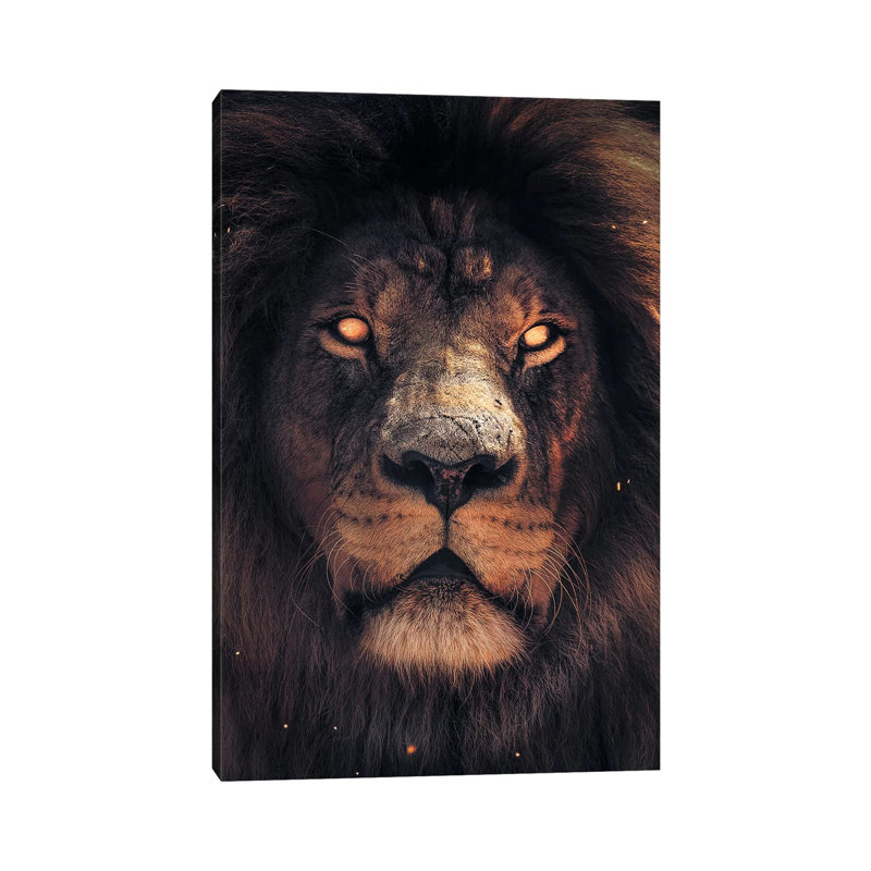 Lion Scary by Zenja Gammer - Print on Canvas, 101.6 cm H x 66.04 cm W x 3.175 cm D, Wrapped Canvas