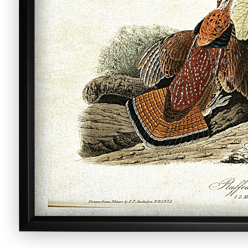 « volière drawing v », impression, H 27 po x l 39 po x P 2 po, Cadre noir, Pas de tapis