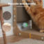 Scratching Post