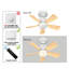 Skylan 45cm 5 - Blade E27 Socket Ceiling Fan with LED Light and Remote-45333072
