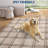 Machine Washable Rug Vintage Distressed Rug Non Slip Rug Retro Medallion Foldable Rugs for Bedroom Living Room Dining Room Nursery Playroom-1630510732